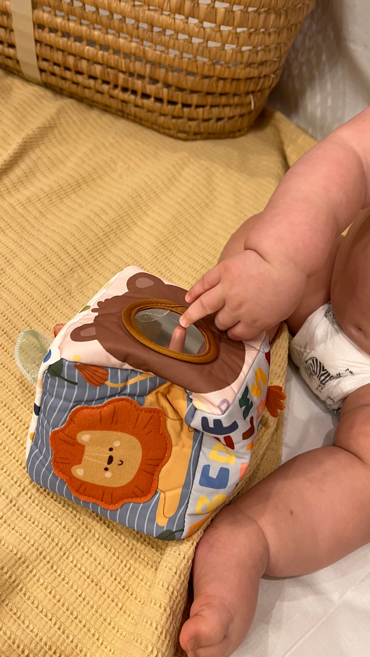 Jouet Boîte à Mouchoirs Indestructible